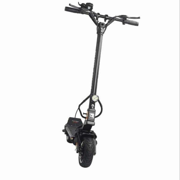 Dualtron Mini Special Single 17 Ah